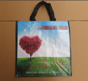 Reusable Bag Quality Check Inspection Service in xiongxian wenan renqiu city sampling