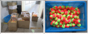 Yiwu inspection for Tennis ball Yiwu QC Check services  sampling size