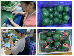 CHINA Production Monitoring 