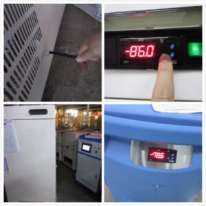 Freezer Quality Control Inspection Service